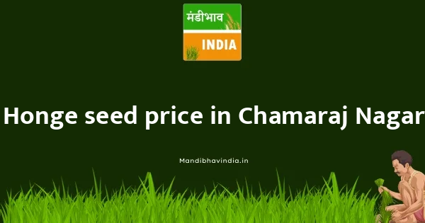 Honge seed price